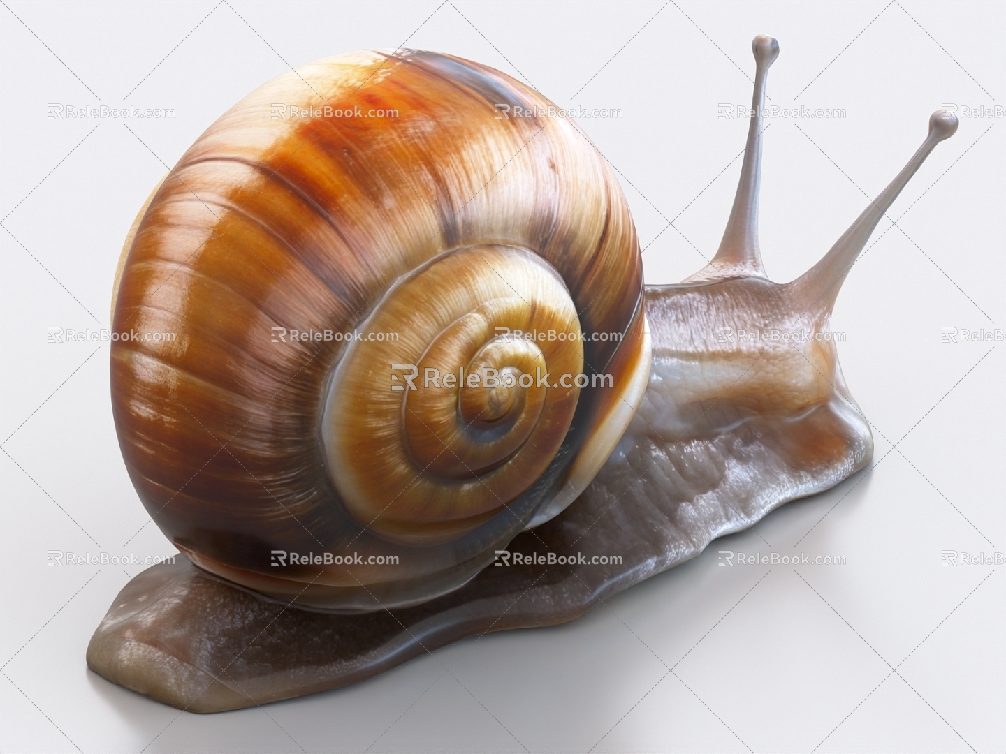 snail white jade snail 3d model