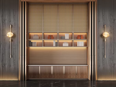 Modern Elegant Wooden Decorative Cabinet with Gold Trim Lighting Books Ornaments and Side Wall Lamps 3d model