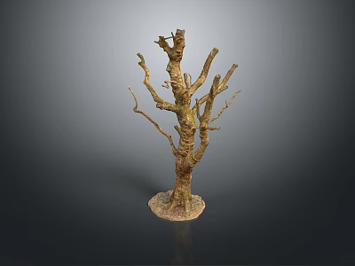 Decorative Wooden Tree Sculpture With Stone Base And Natural Branch Design 3d model