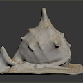 Aquatic Animal Conch Shell Featuring White Spiral Shape And Textured Surface On Black Reflective Base 3d model