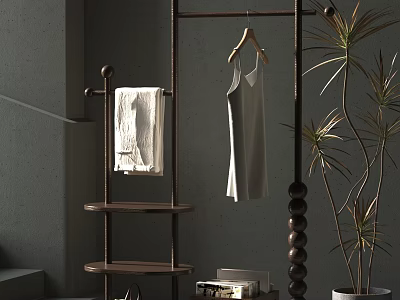 Wooden Clothing Rack With Hanging Sleeveless Top Towel Shelves And Potted Plant 3d model