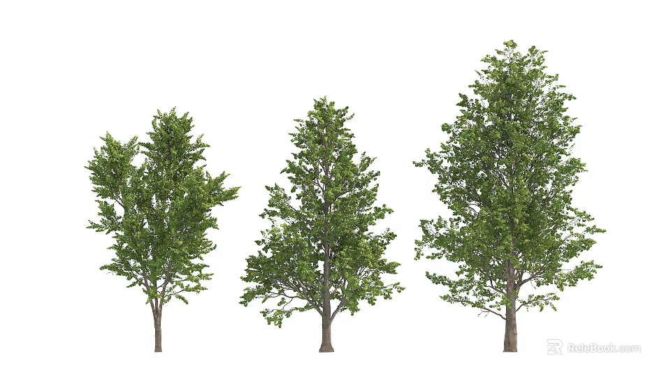 Three Different Arbor Trees with Lush Green Leaves and Unique Shapes 3d model 