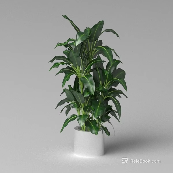 Tall Lush Green Leafy Potted Plant In White Cylindrical Pot With Healthy Foliage 3d model 