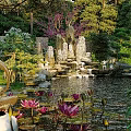 Traditional Garden Landscape Design With Pavilion Lush Green Plants Lawn And Stone Pathway