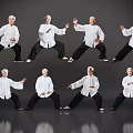 Senior Man Practicing Tai Chi in Various Poses on Gray Reflective Background 3d model