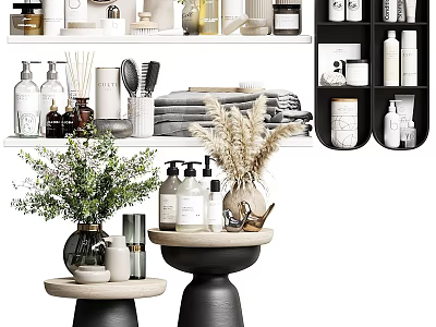Essential Cleaning Products for Daily Use Including Bottled Liquids Towels and Tools 3d model