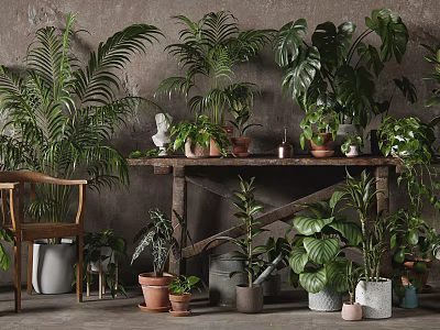 Various Sizes and Types of Potted Plants on Wooden Table with Gray Wall Background 3d model
