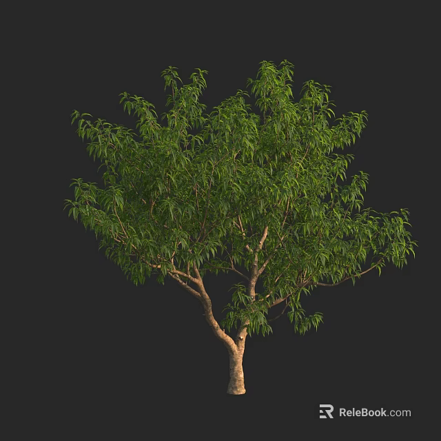 Lush Green Arbor With Dense Foliage And Brown Trunk On Black Background 3d model 