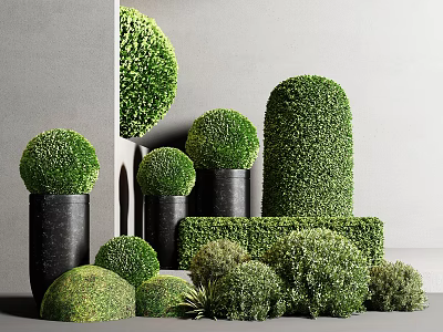 Moss Decorative Arrangements With Spherical Shapes Cylindrical Forms And Black Planters 3d model