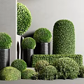 Moss Decorative Arrangements With Spherical Shapes Cylindrical Forms And Black Planters 3d model