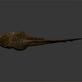 Spotted Brown And Orange Fish With Long Body And Textured Surface On Dark Background