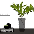 Stylish Decorative Ornament Set With Gray Vase Green Foliage Golden Bowl Books And RELAXING Plaque