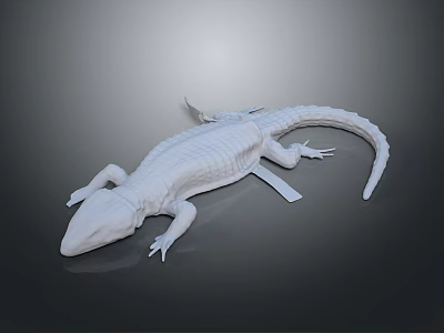 White 3D Reptile Model With Detailed Textured Scales And Gray Background Surface 3d model