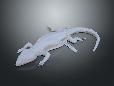 Lizard Anime Lizard Cartoon Lizard Reptile Cold Blooded Animal Reptile 3d model