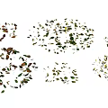 Scattered Fall Leaves in Various Shapes and Colors on White Background