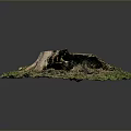 Natural Old Tree Stump With Hollow Center Surrounded By Green Grass