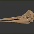 3D Printed Copper Colored Anatomical Medical Device for Medical Education and Surgical Planning