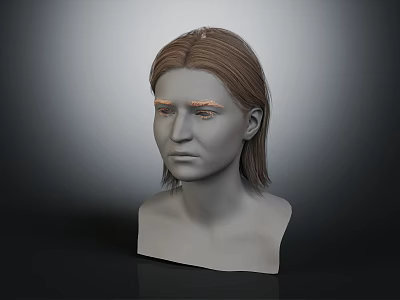 Detailed 3D Head Model With Brown Hair And Visible Facial Organs 3d model