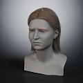 Detailed 3D Head Model With Brown Hair And Visible Facial Organs
