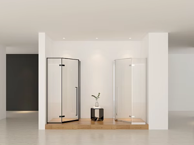 Modern Shower Sauna Design With Glass Enclosures Wooden Platform And Potted Plant 3d model