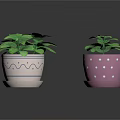 Green Houseplants In Pink Flower Pots With Blue Wave And White Polka Dot Patterns