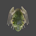 Green Frog Game Movie Character With Detailed Skin Texture And Natural Background