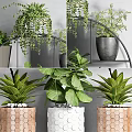 Various Green Potted Plants On Circular Metal Shelf With Gray Wooden And White Pots