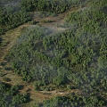 Modern mountain forest bird's-eye view mountain mountain forest bird's-eye view bird's-eye view 3d model