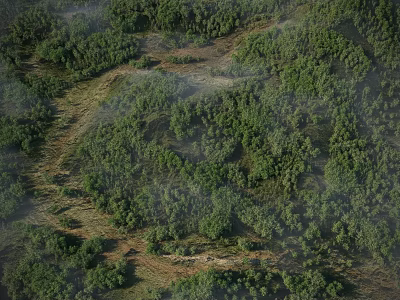 Arbor Forest Landscape With Lush Green Trees And Natural Terrain Features 3d model