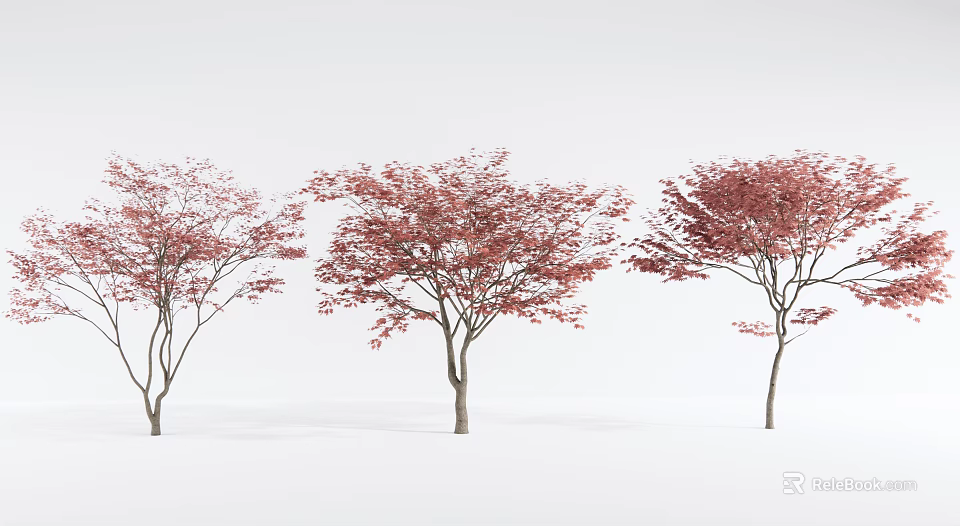 Three Deciduous Trees With Vibrant Red Leaves Against White Background 3d model 