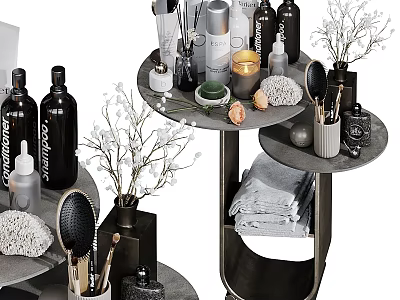 Elegant Daily Wash Supplies On Multi Tier Shelf With Towels Brushes And Dry Flowers 3d model