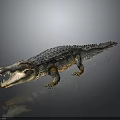 Crocodile Model With Open Mouth Shiny Skin And Gray Background Reflection 3d model