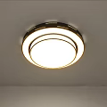Modern Round Flush Mount Ceiling Light With Multi Layer Golden Frame And White Light Panel 3d model