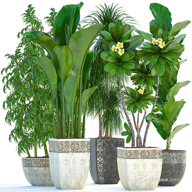 Variety of Bonsai Potted Plants With Green Leaves Yellow Flowers And Ornate Pots 3d model 
