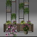 Indoor Bonsai and Potted Plants Decor on Wooden Shelf with Green and Flowering Varieties