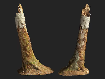 Pair Of Stone Wrapped Wood Trunks With Natural Textured Bases 3d model