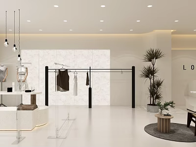 Modern Clothing Store Interior With Hanging Clothes Racks Mirror Decorative Plants And Lighting 3d model