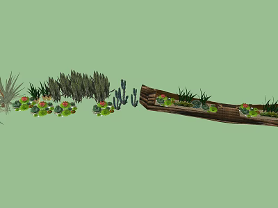 Vibrant Flowers And Greenery With Succulents Arranged On Wooden Plank 3d model