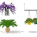 Purple Flowers In Transparent Vase With Green Plants In Terracotta Pot For Interior Decor