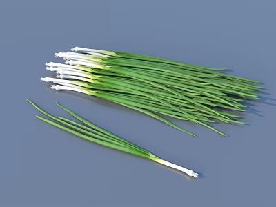 spring onion green onion vegetable food 3d model