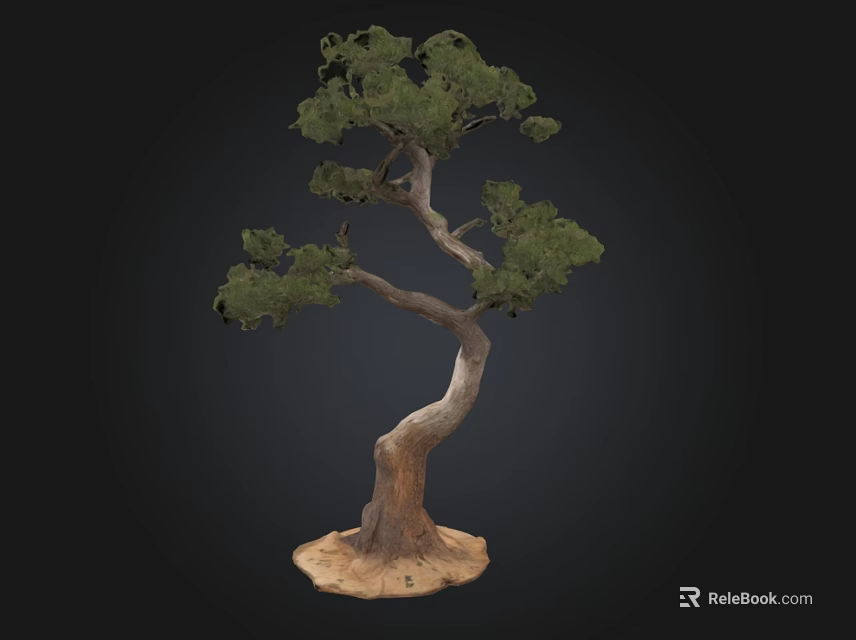 Unique Shaped Decorative Tree With Curved Trunk And Green Foliage Base 3d model