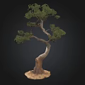 Unique Shaped Decorative Tree With Curved Trunk And Green Foliage Base 3d model