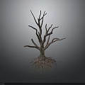 Withered Tree with Exposed Roots and Dry Branches on Dark Background