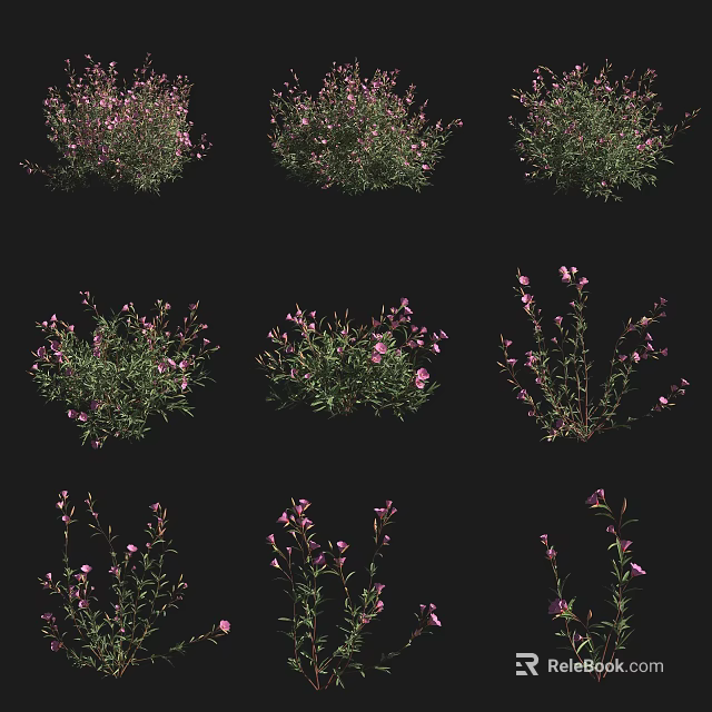 Decorative Shrubs With Pink Flowers In Various Forms On Black Background 3d model