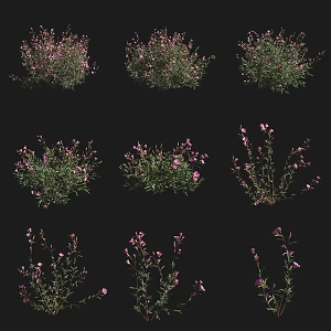 Say goodbye to spring shrubs, flowers and pasture plants 3d model