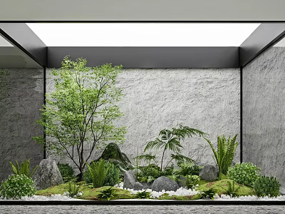 Lush Indoor Garden With Diverse Plants Rocks Moss And Gray Walls Under Skylight 3d model