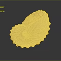 Light Colored Nautilus Shell With Intricate Spiral Texture And Smooth Surface