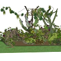 Diverse Green Plant Arrangement With Natural Landscape Elements And Grass Base 3d model