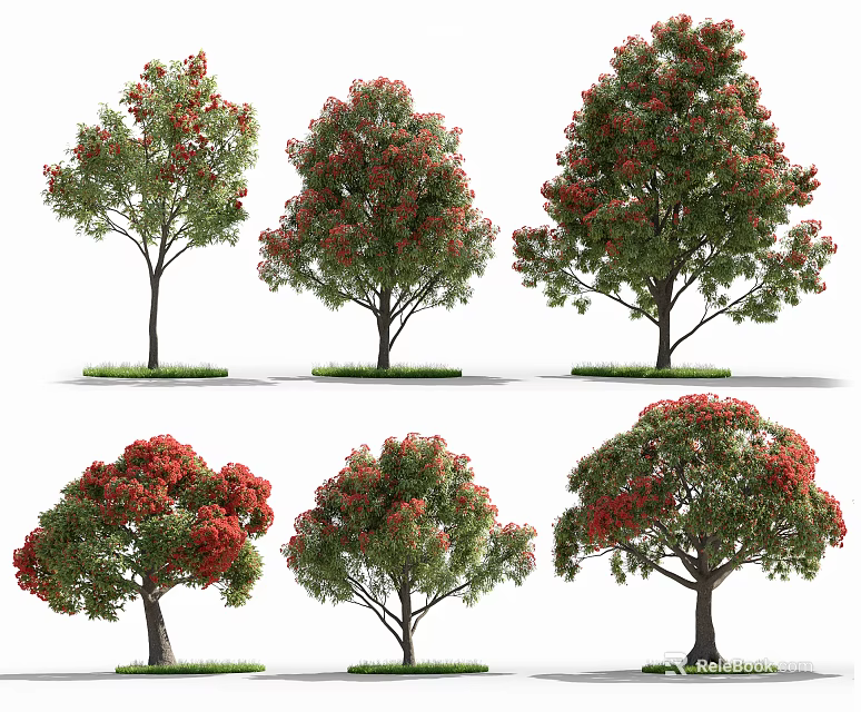 Arbor Trees With Various Forms And Red Green Foliage For Landscape Design 3d model