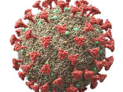 Structure Of A Viral Particle With Spike Proteins 3d model